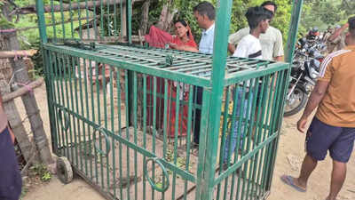 Leopard attacks 2 more in Varanasi; search ops on