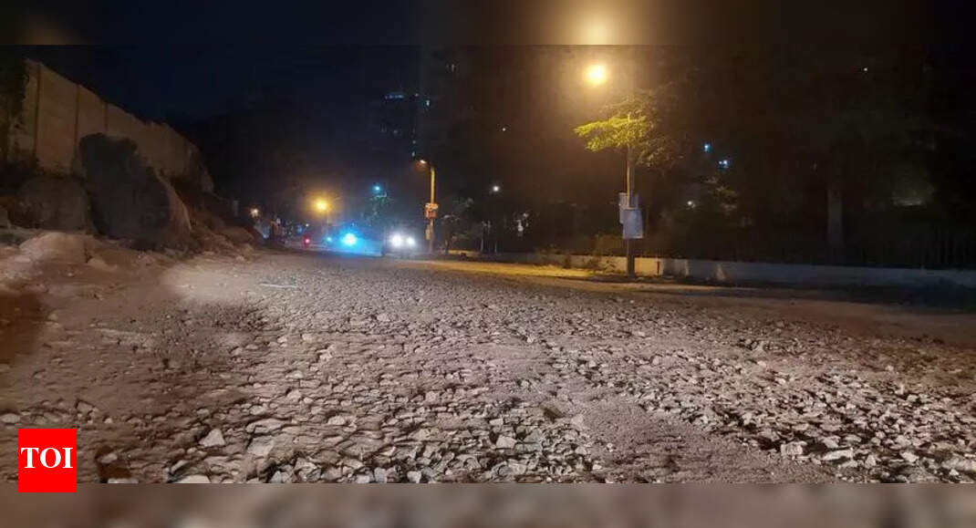 Residents of Bengaluru's Holiday Village Road to Protest Against Poor Road Conditions