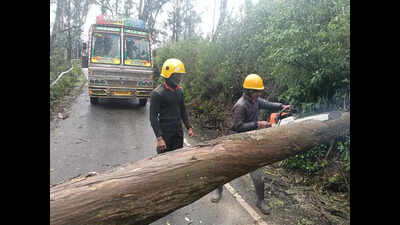 Heavy rain throws life out of gear in the Nilgiris