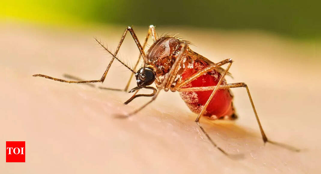 Malaria Threatens Goa Despite Zero Local Cases in 2023