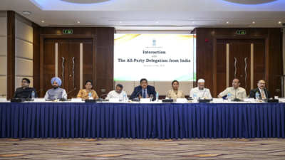'End terror justifications, dismantle networks, take responsibility': Indian delegation's big message to Pakistan in Bahrain