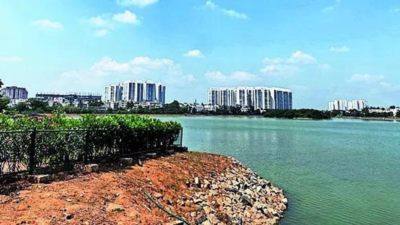 9 Bengaluru citizens revive dying Sarakki lake, turning sewage-choked waterbody into thriving ecosystem