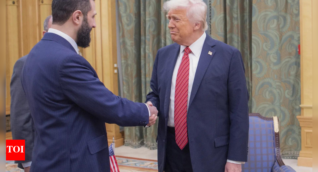 Syria to help locate missing Americans: US envoy