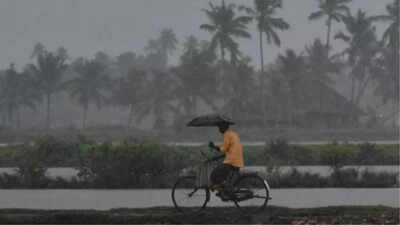 Monsoon arrives early in India: Here's what caused the unusual shift