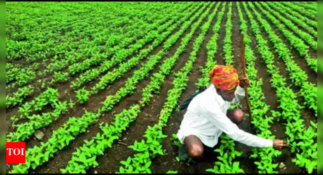 Early Monsoon Arrival in Maharashtra Raises Concerns for Agriculture