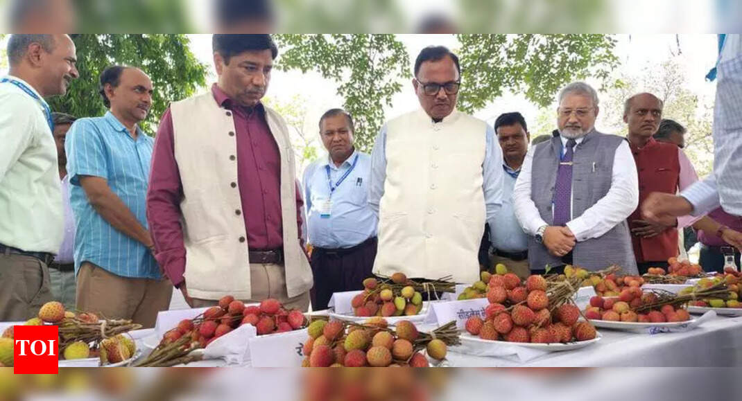 Scientist Devours 23 Litchis at Bihar Litchi Festival