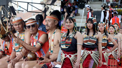 Manipur’s 5-day Shirui Lily Festival celebrates heritage, conservation, and community
