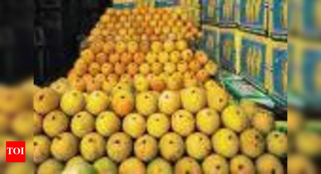 Dharwad Mango Mela: Sales Dip, Price Concerns, and Future Plans