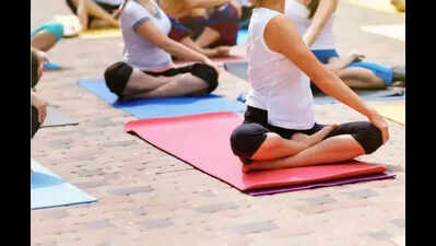 NTR collector advocates regular yoga practice for govt employees