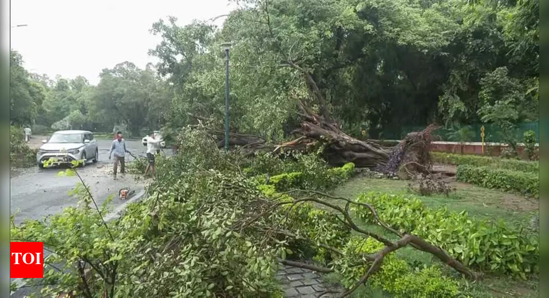 Delhi Power Outages After Storm Causes Widespread Disruption