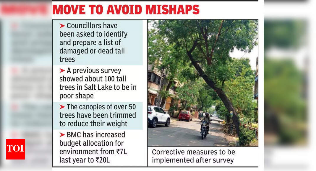 BMC Initiates Tree Health Audit in Salt Lake