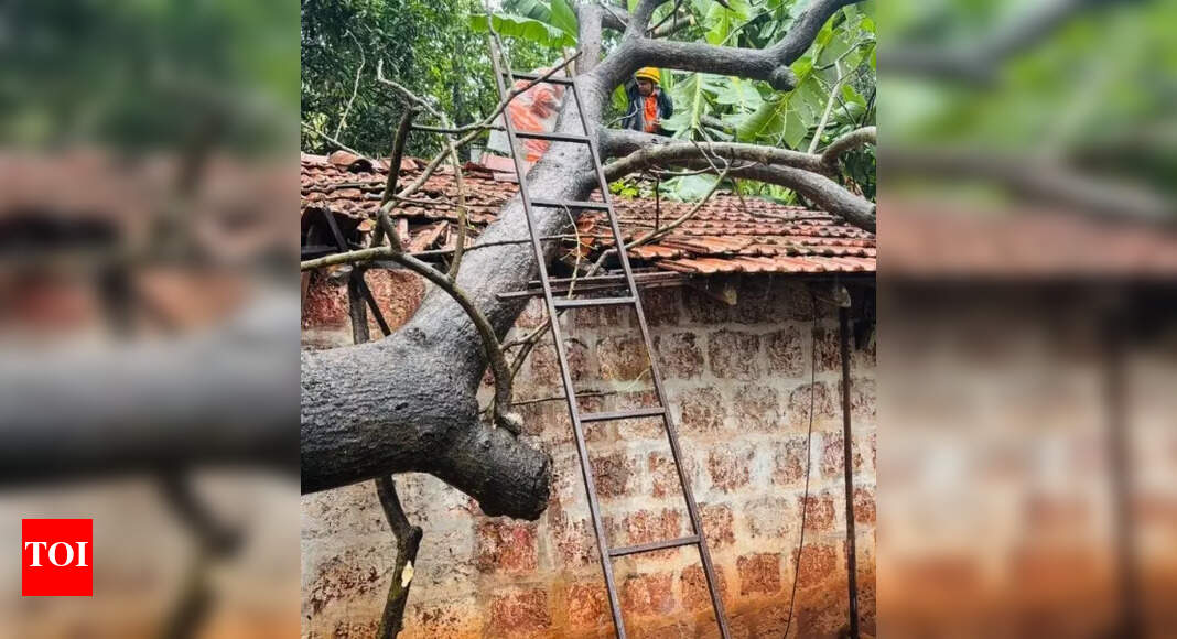 Goa Fire and Emergency Services Handle Many Calls, Face Rs 32 Lakh Loss