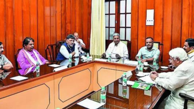 18 BJP MLAs back in Karnataka House as suspension lifted