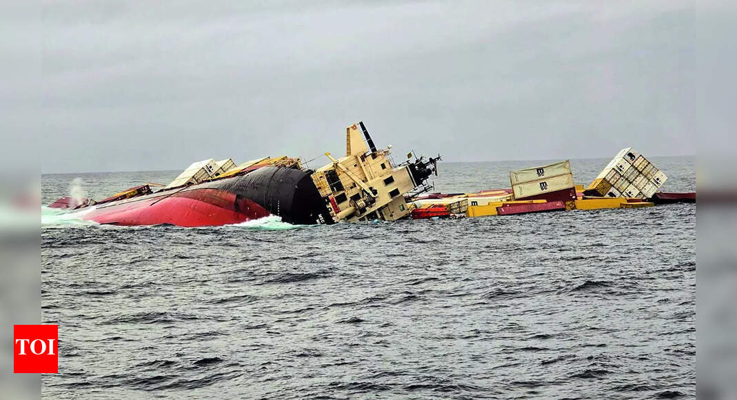 Kerala oil spill sparks fears of threat to marine species | India News