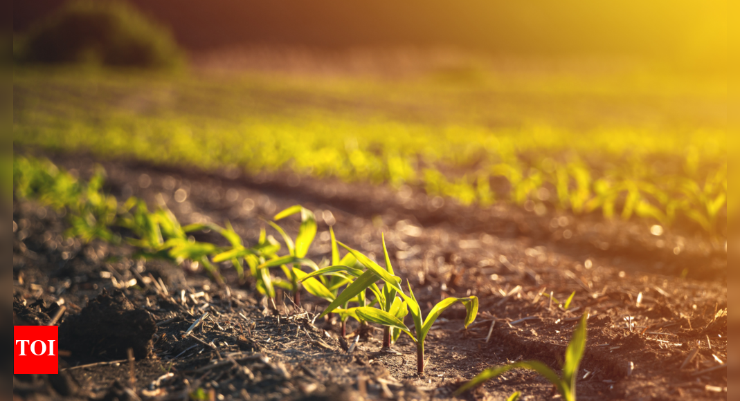 Patanjali's Push for Organic Farming in India