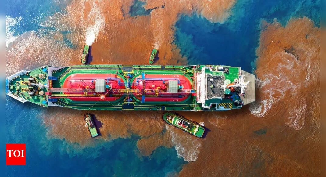 Kochi Shipwreck: Chemical Spill Threatens Kerala’s Marine Ecosystems and Livelihoods