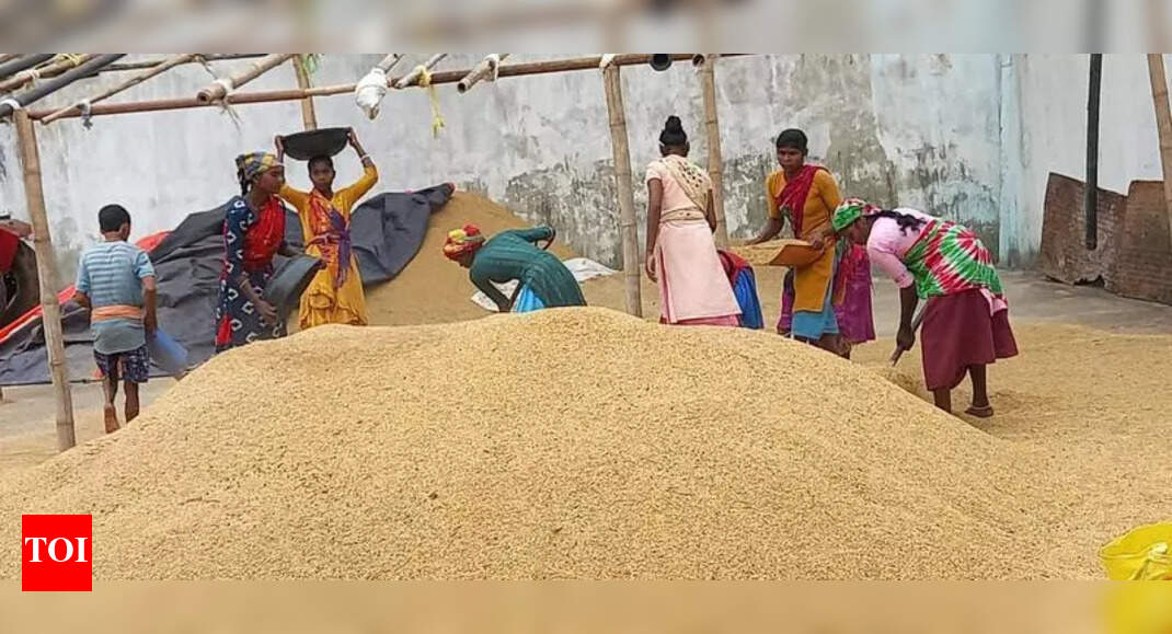Wheat Procurement Begins, Farmers to Get Paid Within 48 Hours