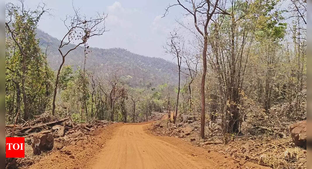 Highway Linking Chhattisgarh's Marh Region to Mumbai