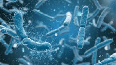Scientists discover bacteria that 'breathe' electricity instead of oxygen