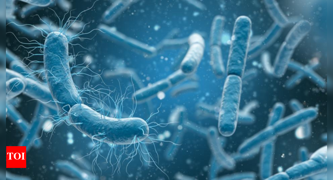 Scientists discover bacteria that 'breathe' electricity instead of oxygen