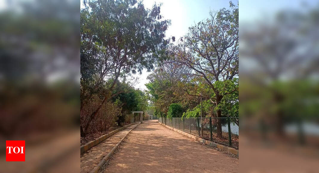 Bengaluru's Agara Lake May Reopen for Child Cyclists After Ban