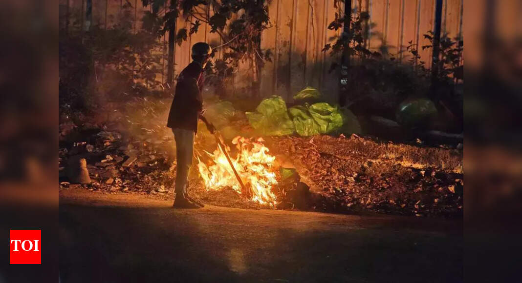 Chandigarh Bans Waste Burning to Improve City's Waste Management