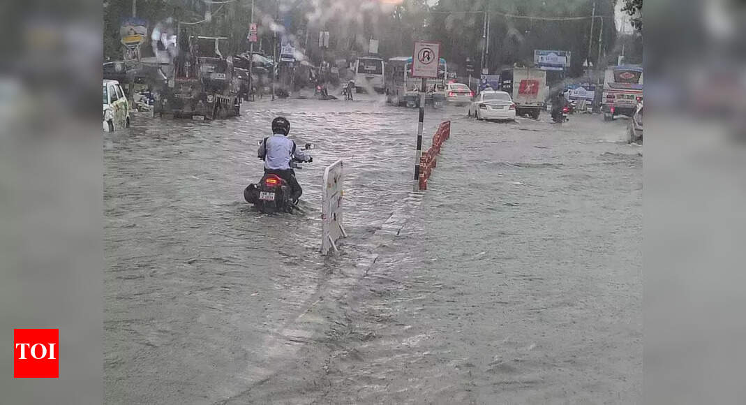 Delhi's Downpour Lingers: Roads Cleared, Cleanup Continues