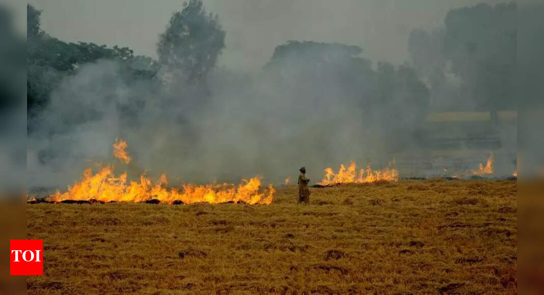 Punjab Unveils ₹500 Crore Plan to Combat Stubble Burning