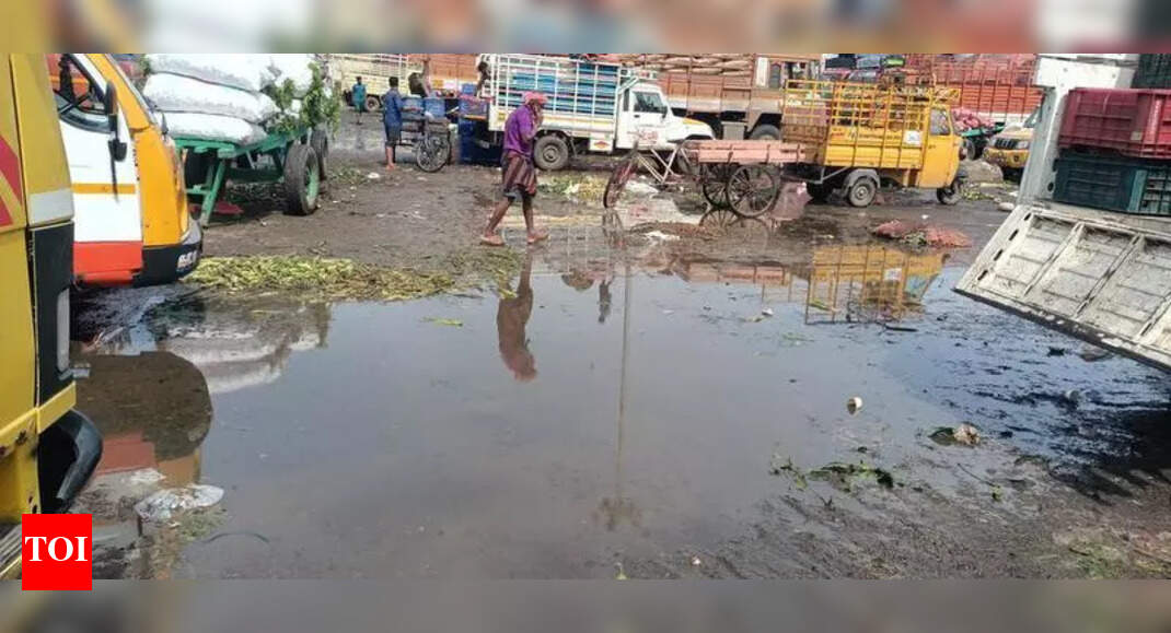 Chennai Cracks Down on Illegal Sewage Connections, Imposes Fines