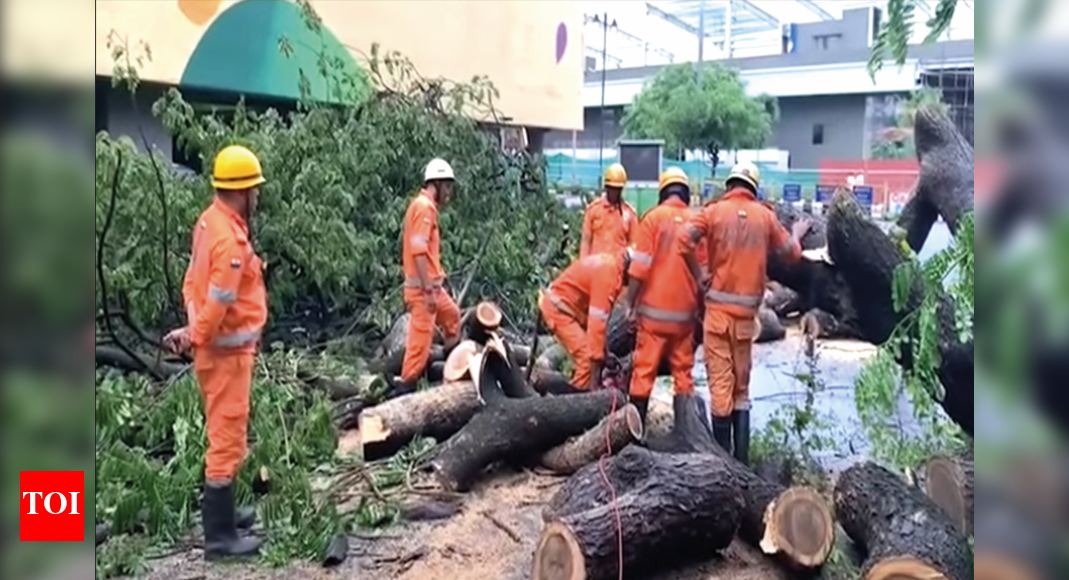 Mumbai Man Dies in Tree Collapse, Second Injury Reported