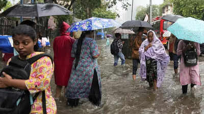 Bharat Forecast System: Desi system to make forecasts more accurate