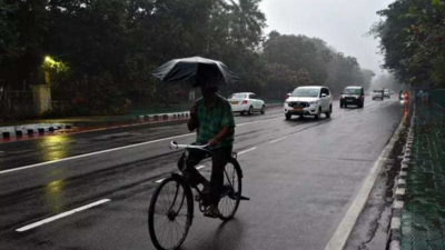 Ahmedabad weather turns mild as city awaits more rain