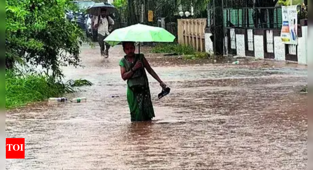 IMD issues 5-day 'red' alert for coastal Karnataka, extremely heavy rainfall expected