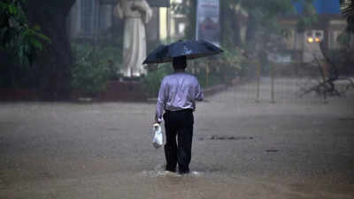 Monsoon intensifies across India; IMD issues multiple warnings, 'red' alert in Kerala and Karnataka