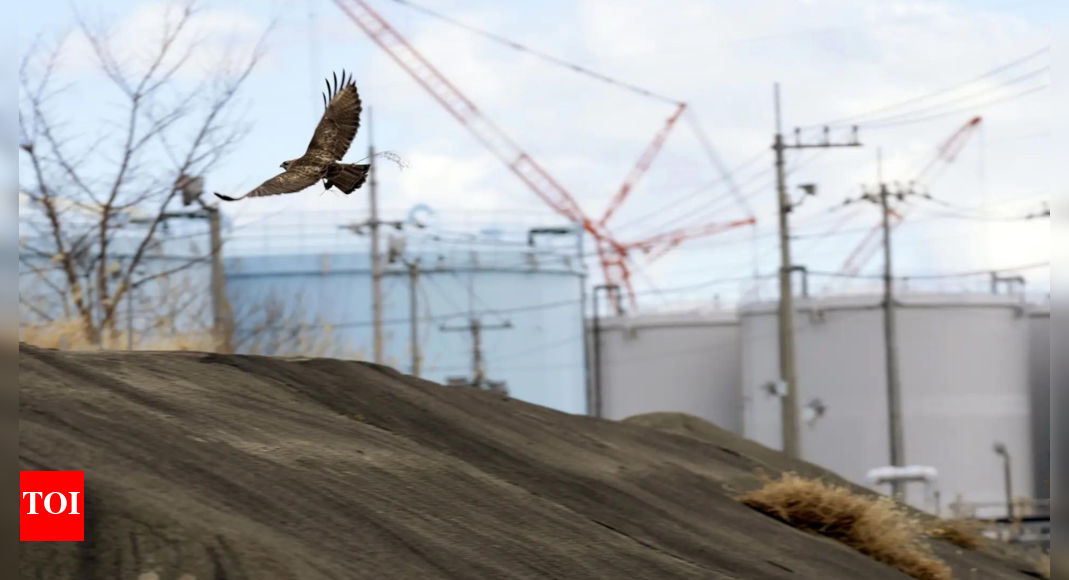 Japan PM to Accept Fukushima Soil to Show Safety