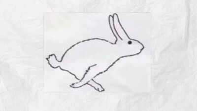  Duck or rabbit? The animal you see first reveals if you are emotional or logical