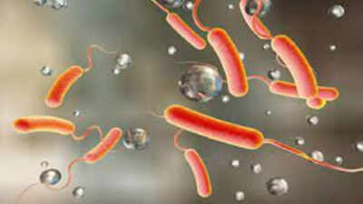 Ahmedabad sees rise in gastroenteritis and cholera cases over past 25 days