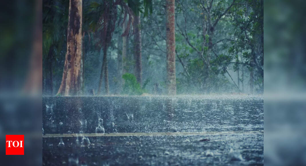 https://static.toiimg.com/thumb/msid-121437482,width-1070,height-580,imgsize-95636,resizemode-75,overlay-toi_sw,pt-32,y_pad-40/photo.jpg