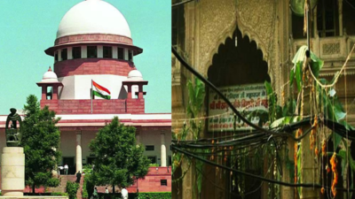 'If states start entering private disputes ... ': SC pulls up UP government for 'hijacking' Banke Bihari Temple dispute