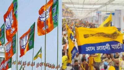 BJP spent Rs 57.6 crore in Delhi assembly elections, nearly 4 times more than AAP