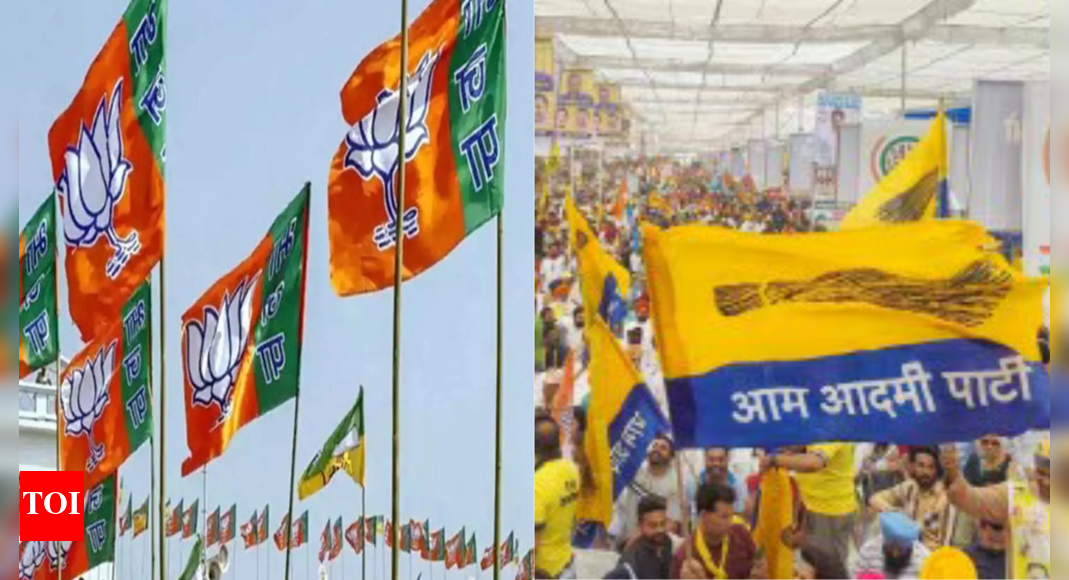 BJP Spent Significantly More Than AAP, Congress in Delhi Elections