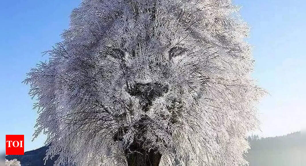 Optical illusion: What you see first can reveal if you are guarded or outgoing