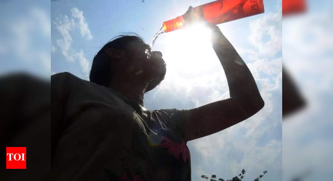 Jharkhand Sees 300% Rise in Annual Heatwave Days