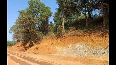 Centre seeks action against revenue officials for tampering with land records