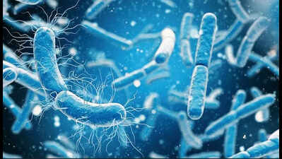 Oil-eating bacteria found in Nacharam set to revolutionise pollution cleanup