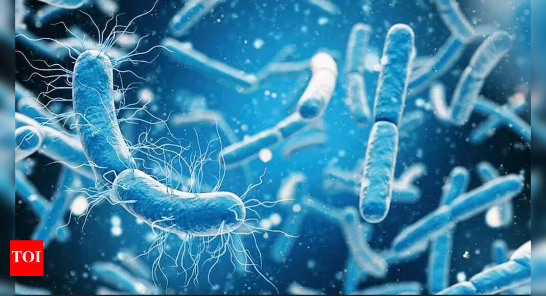 Oil-Eating Bacteria Discovered in Hyderabad Could Clean Pollution