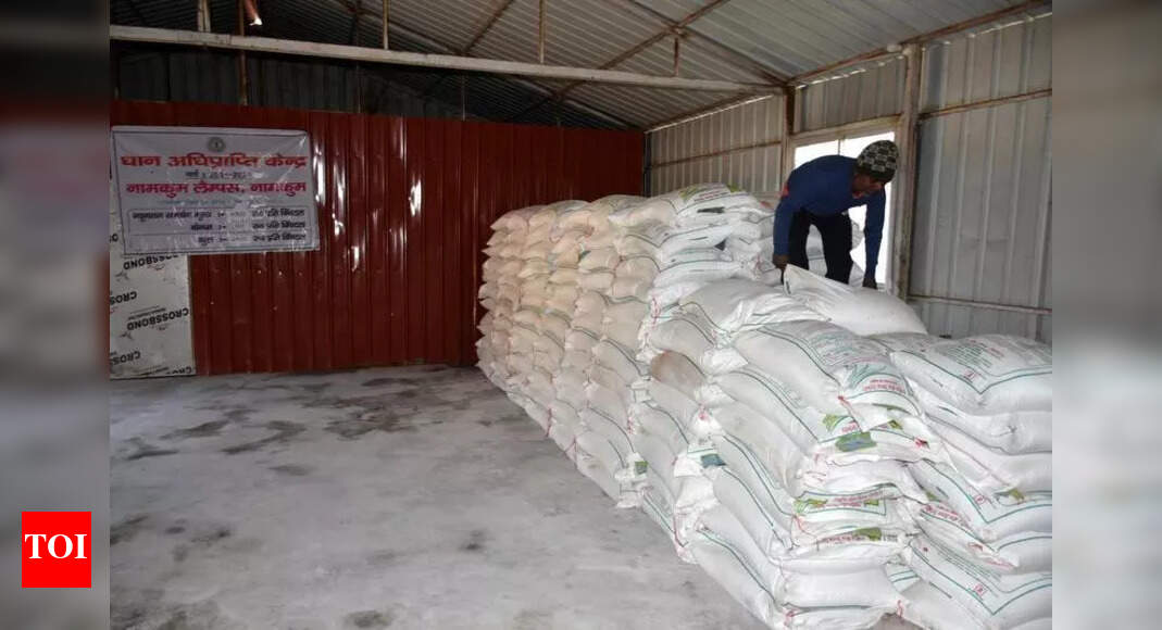 Unseasonal Rain Damages Paddy Crops in Western Odisha