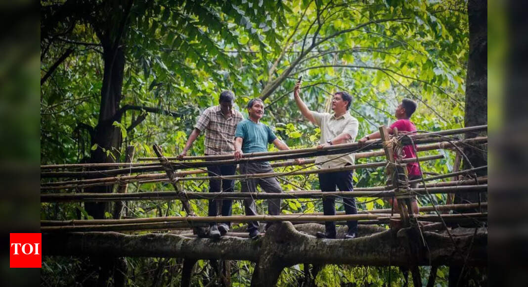 Meghalaya Event Advances Living Root Bridges for UNESCO Tag