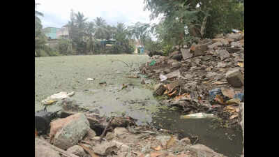 Residents blame Metrowater for polluted lake; officials cite encroachments