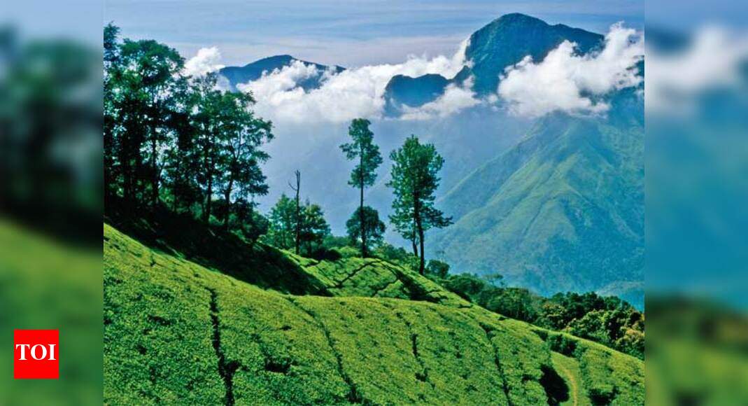 Climate Change Shortens Growing Seasons in Western Ghats Forests